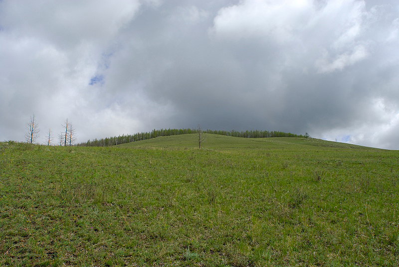 image0181