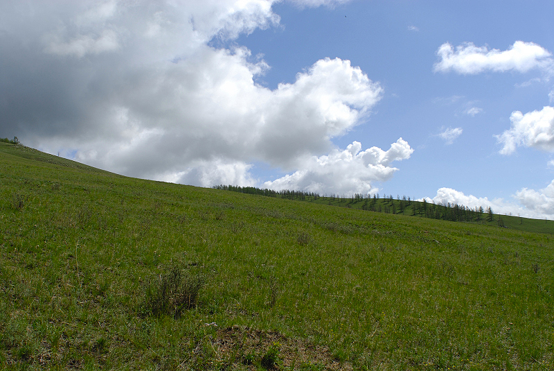 image0182
