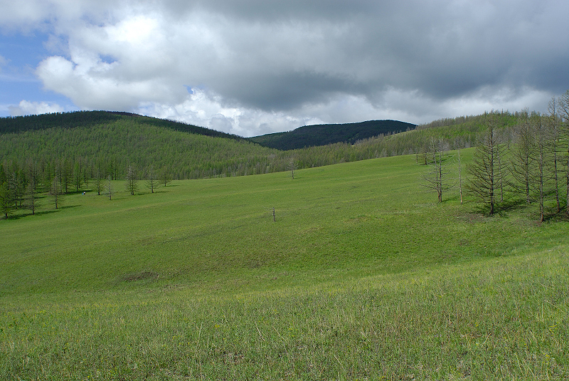 image0183