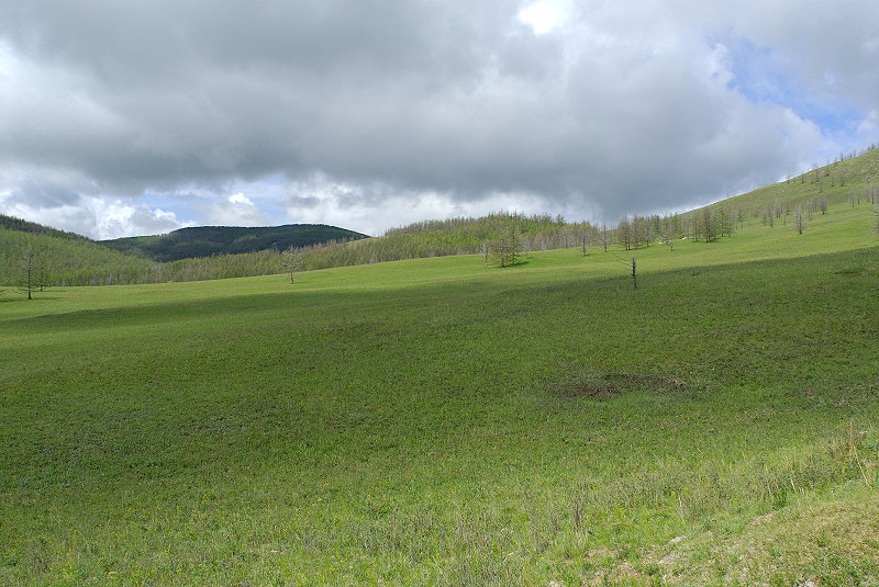 image0184