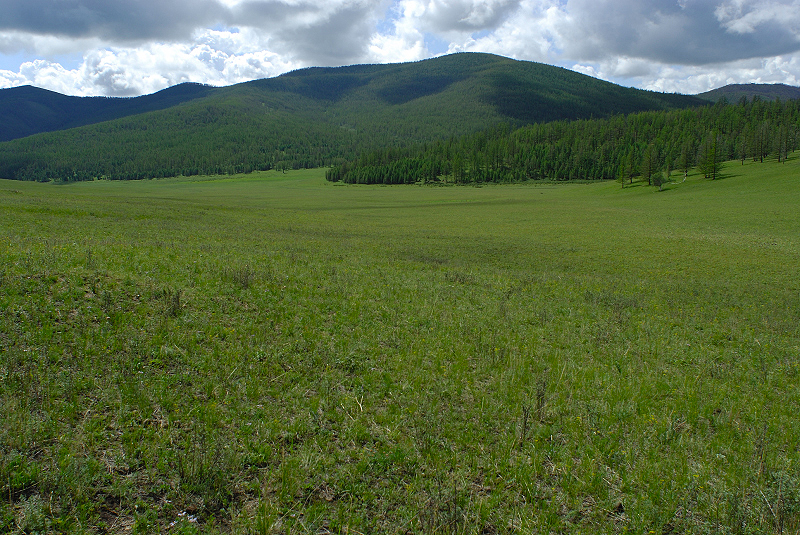 image0185