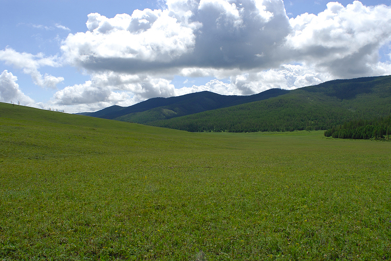 image0186