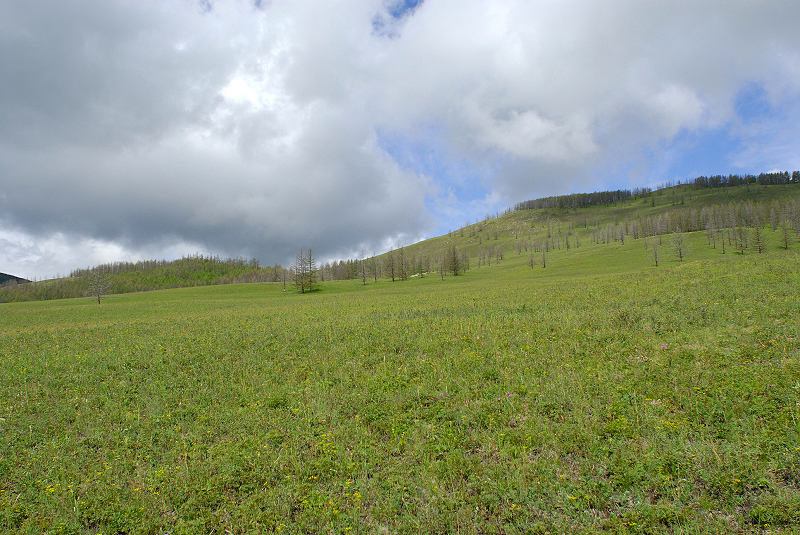image0187