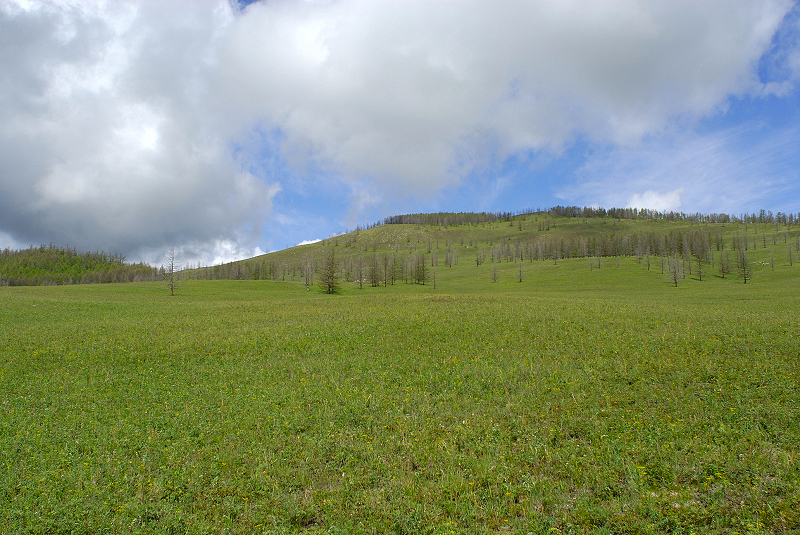 image0190