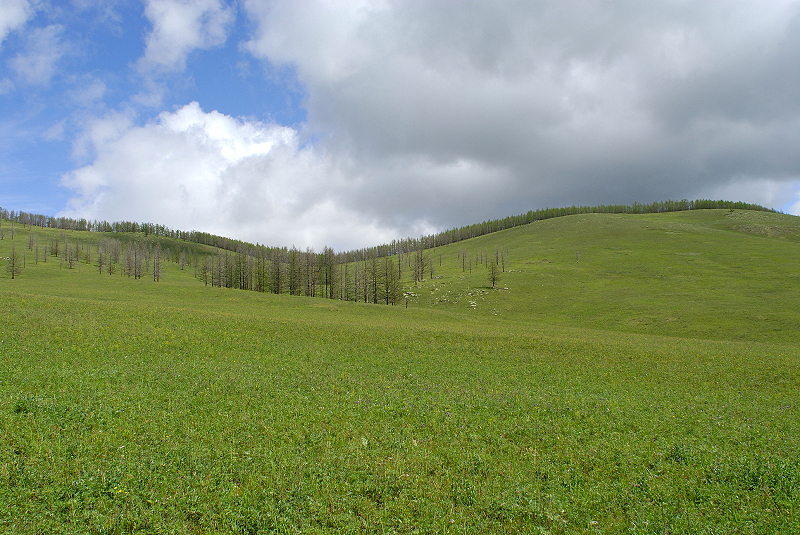 image0191