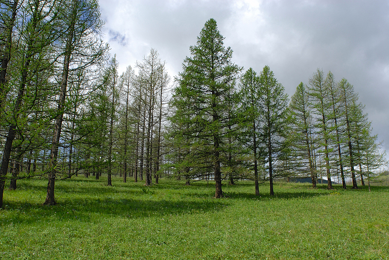 image0192