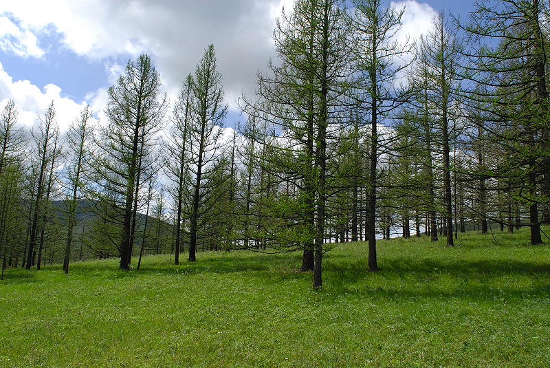 image0193