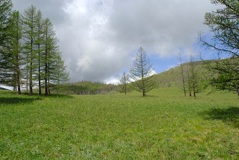 image0194