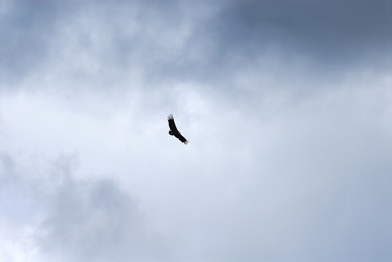 image0195