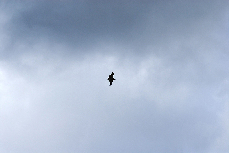 image0196