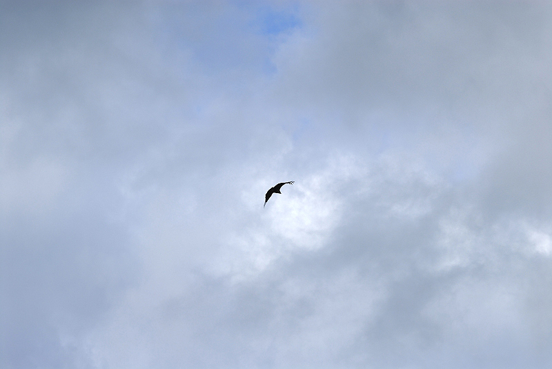 image0197