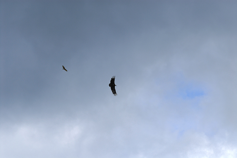 image0198