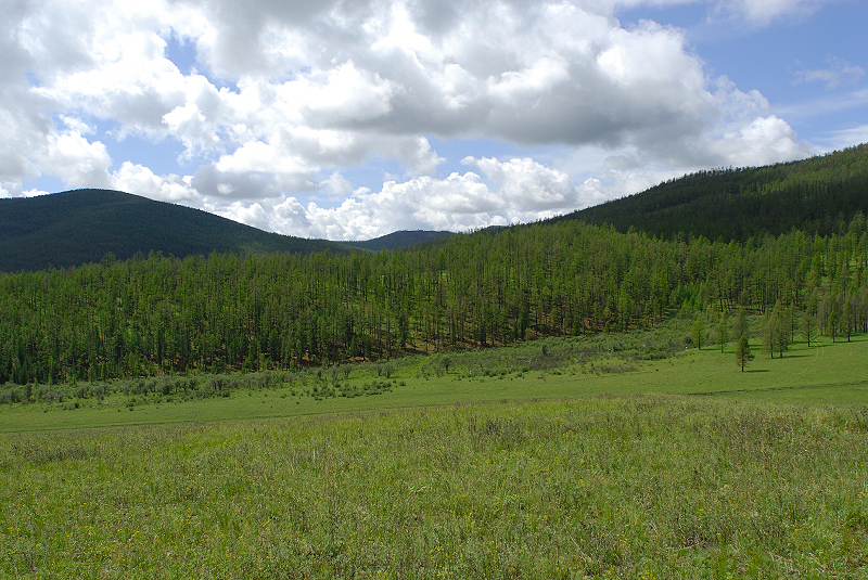 image0200