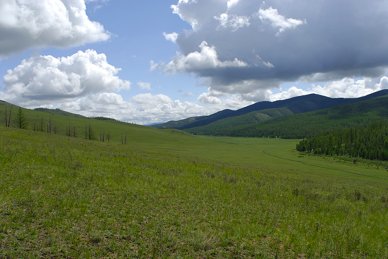image0202
