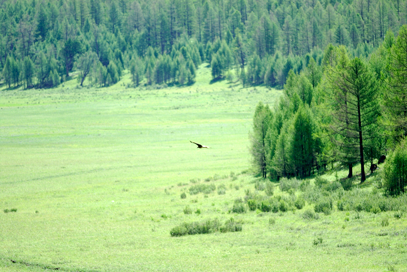 image0203