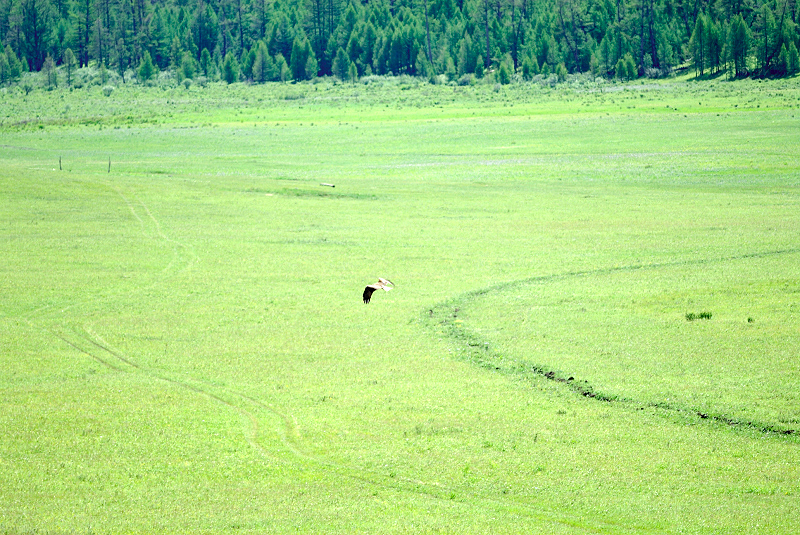 image0204