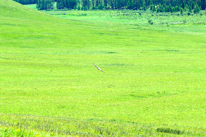 image0205