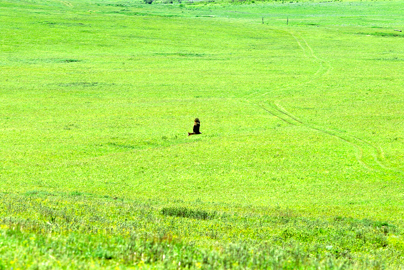 image0206