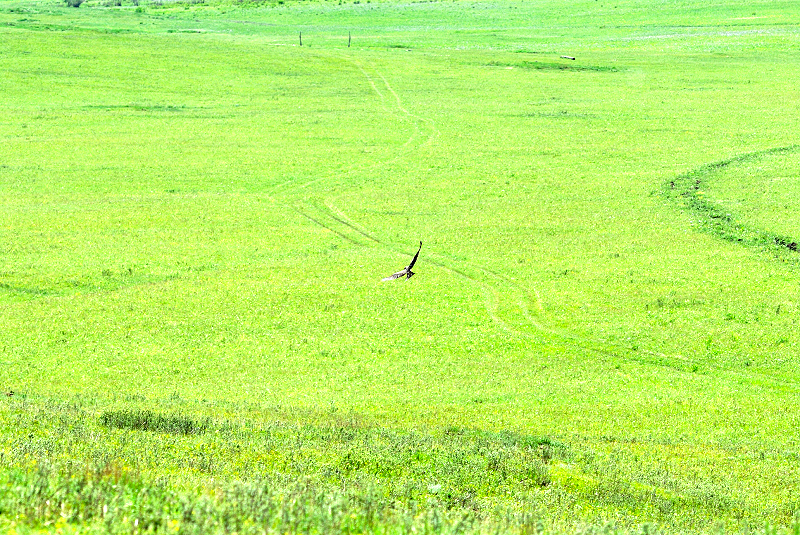image0208