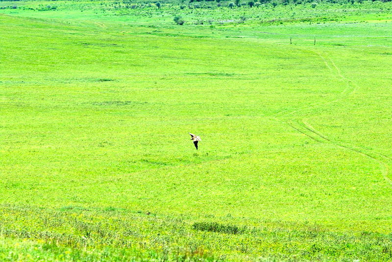 image0209