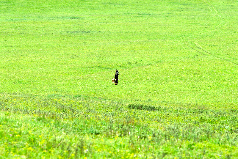 image0210