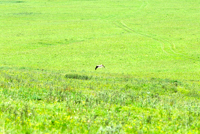 image0211