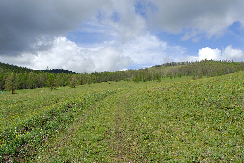 image0212
