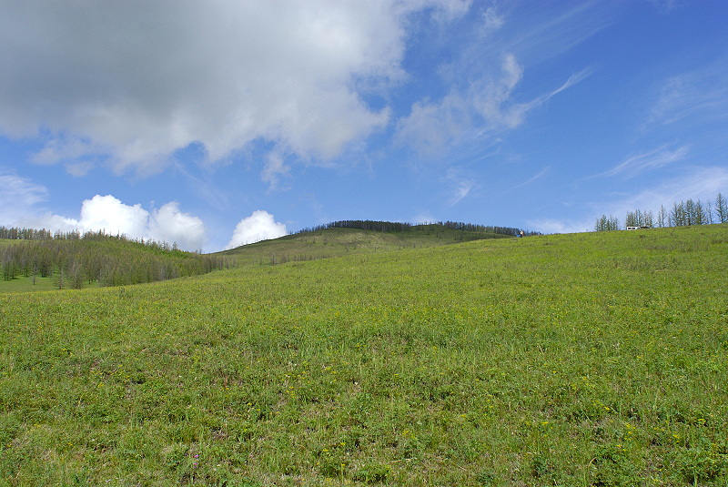 image0213
