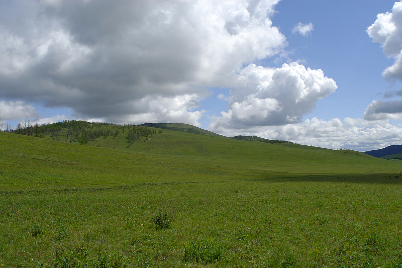 image0215