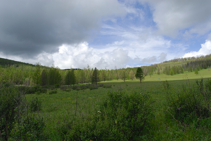 image0217