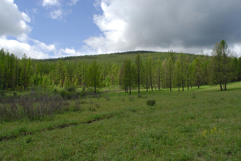 image0218
