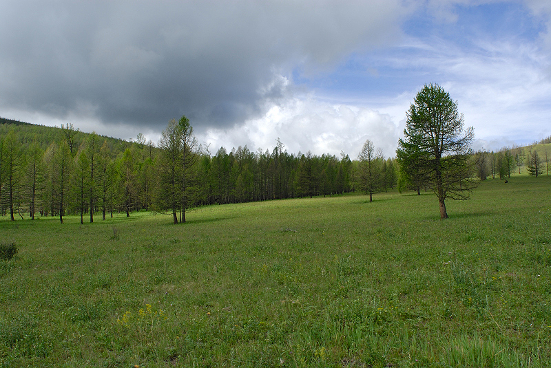 image0219