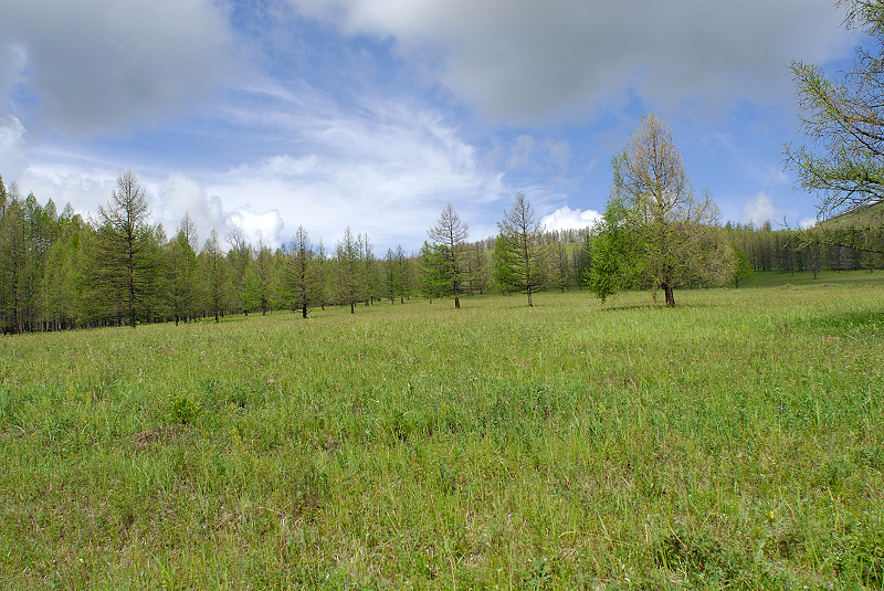 image0220