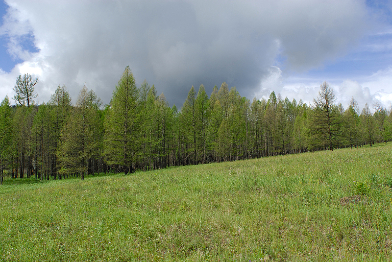 image0221