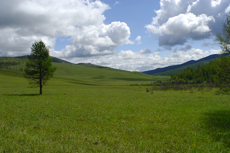 image0223