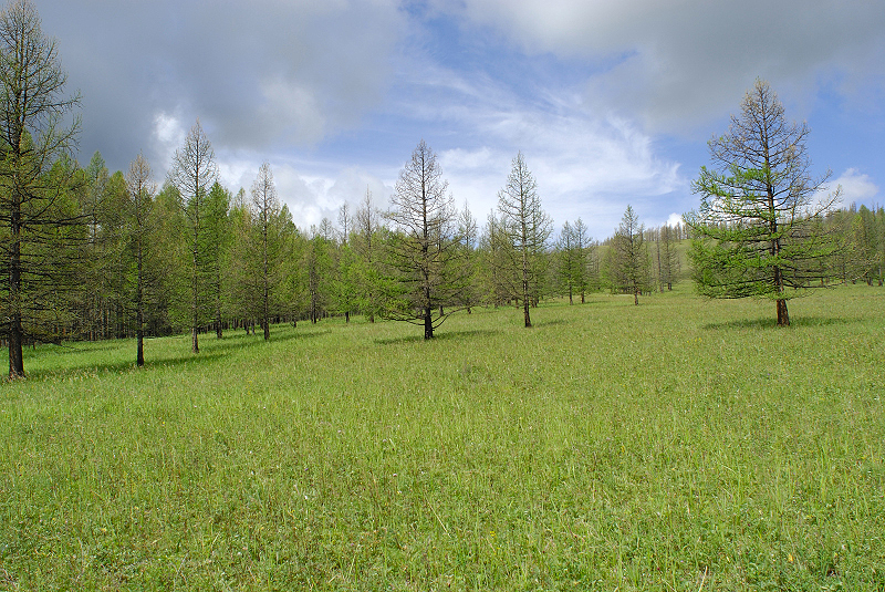 image0224