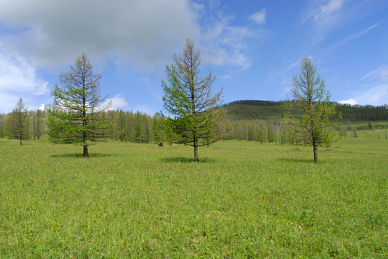 image0225