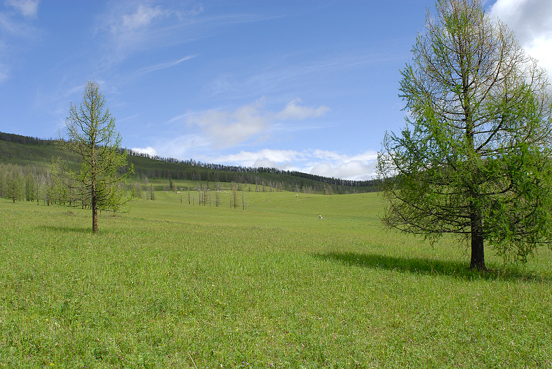 image0226