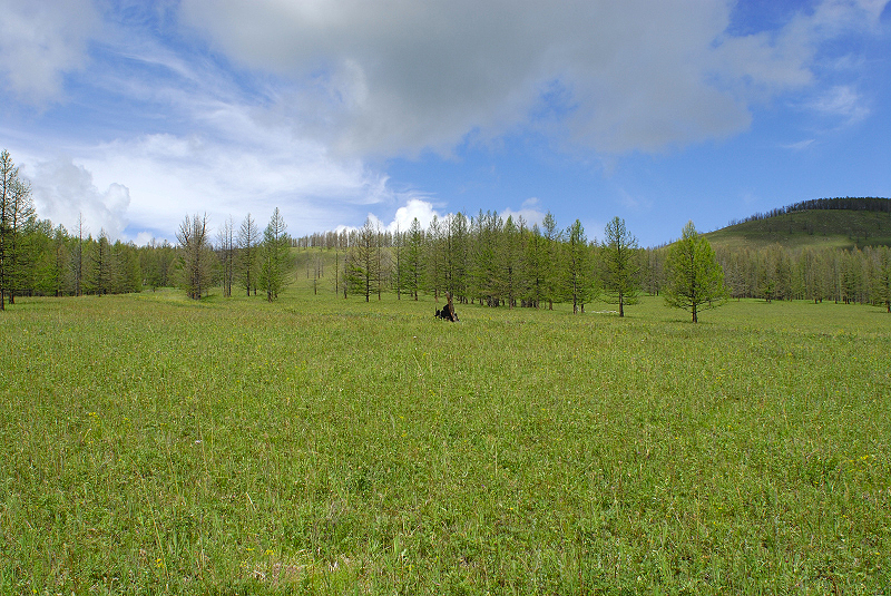 image0227