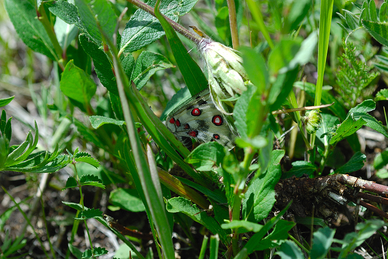 image0232