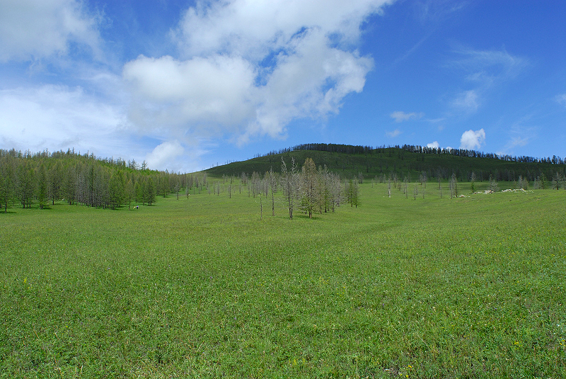 image0236