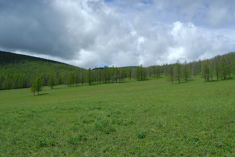 image0237