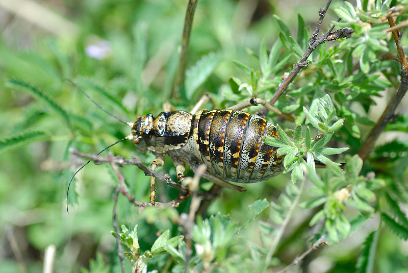 image0248