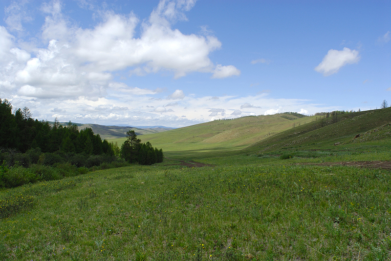 image0250