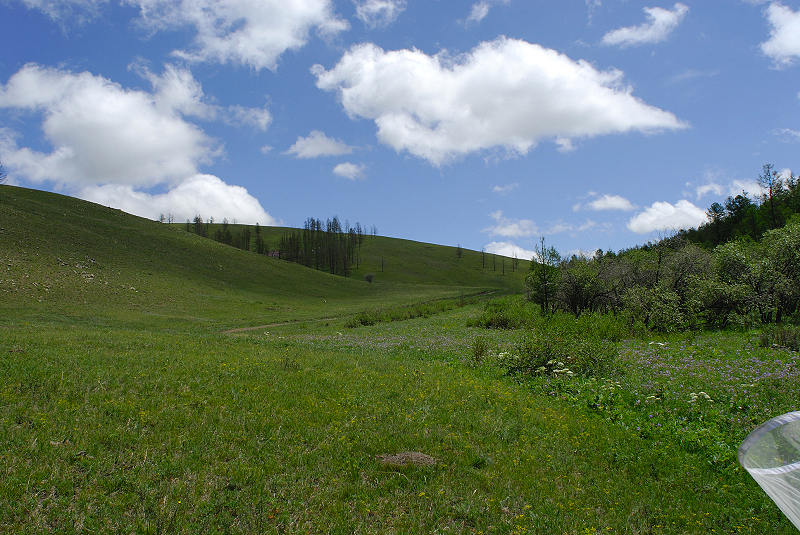image0252