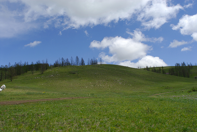 image0253