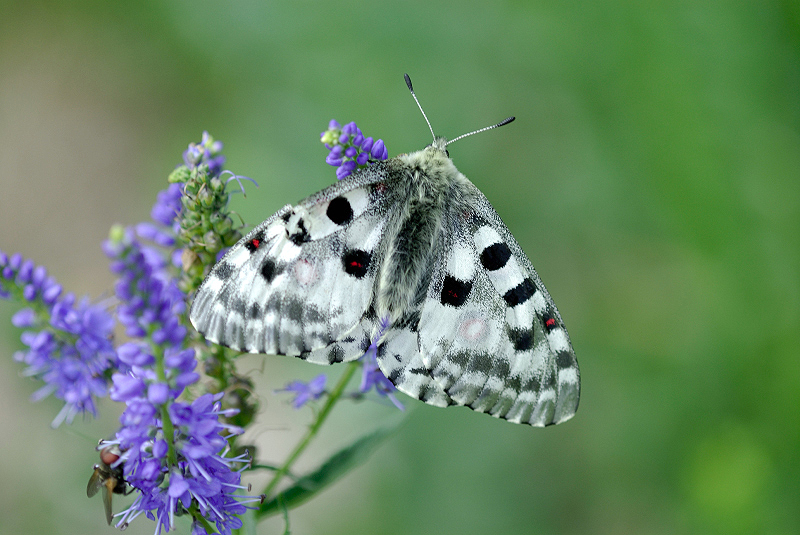 image0258