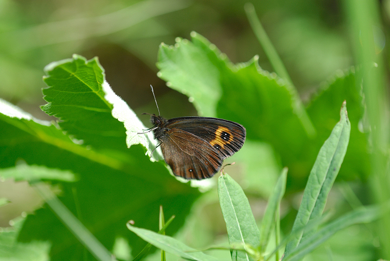 image0266