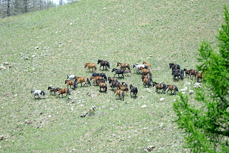 image0268