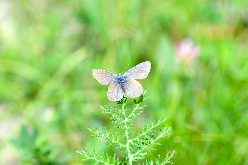 image0269